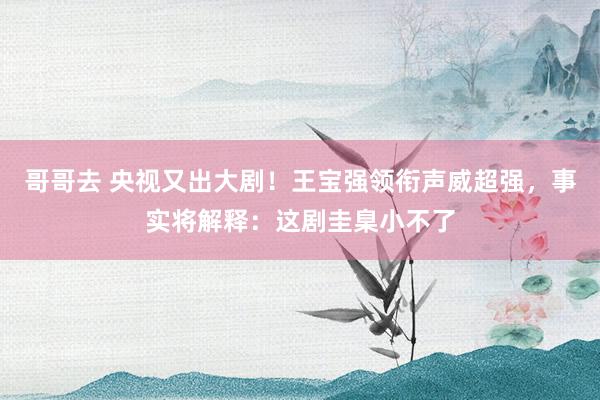 哥哥去 央视又出大剧！王宝强领衔声威超强，事实将解释：这剧圭臬小不了