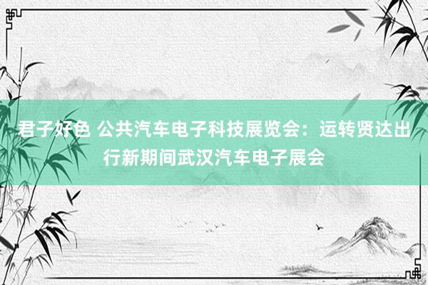 君子好色 公共汽车电子科技展览会：运转贤达出行新期间武汉汽车电子展会