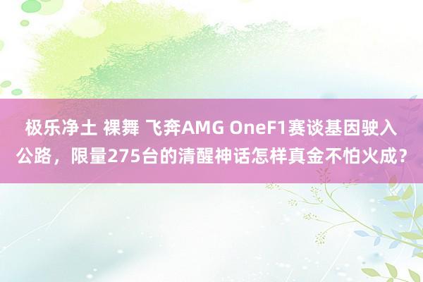 极乐净土 裸舞 飞奔AMG OneF1赛谈基因驶入公路，限量275台的清醒神话怎样真金不怕火成？