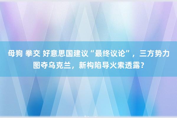 母狗 拳交 好意思国建议“最终议论”，三方势力图夺乌克兰，新构陷导火索透露？