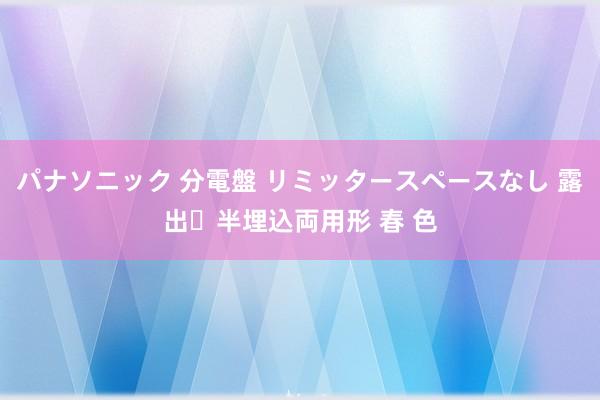 パナソニック 分電盤 リミッタースペースなし 露出・半埋込両用形 春 色