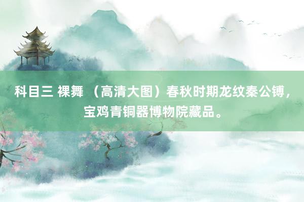 科目三 裸舞 （高清大图）春秋时期龙纹秦公镈，宝鸡青铜器博物院藏品。